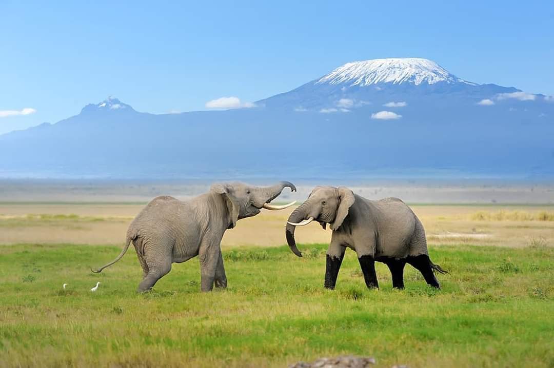 Serengeti National